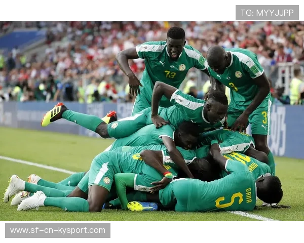 冰雪中奔跑的雄狮！塞内加尔男足晋级八强，塞内加尔国家男子足球队